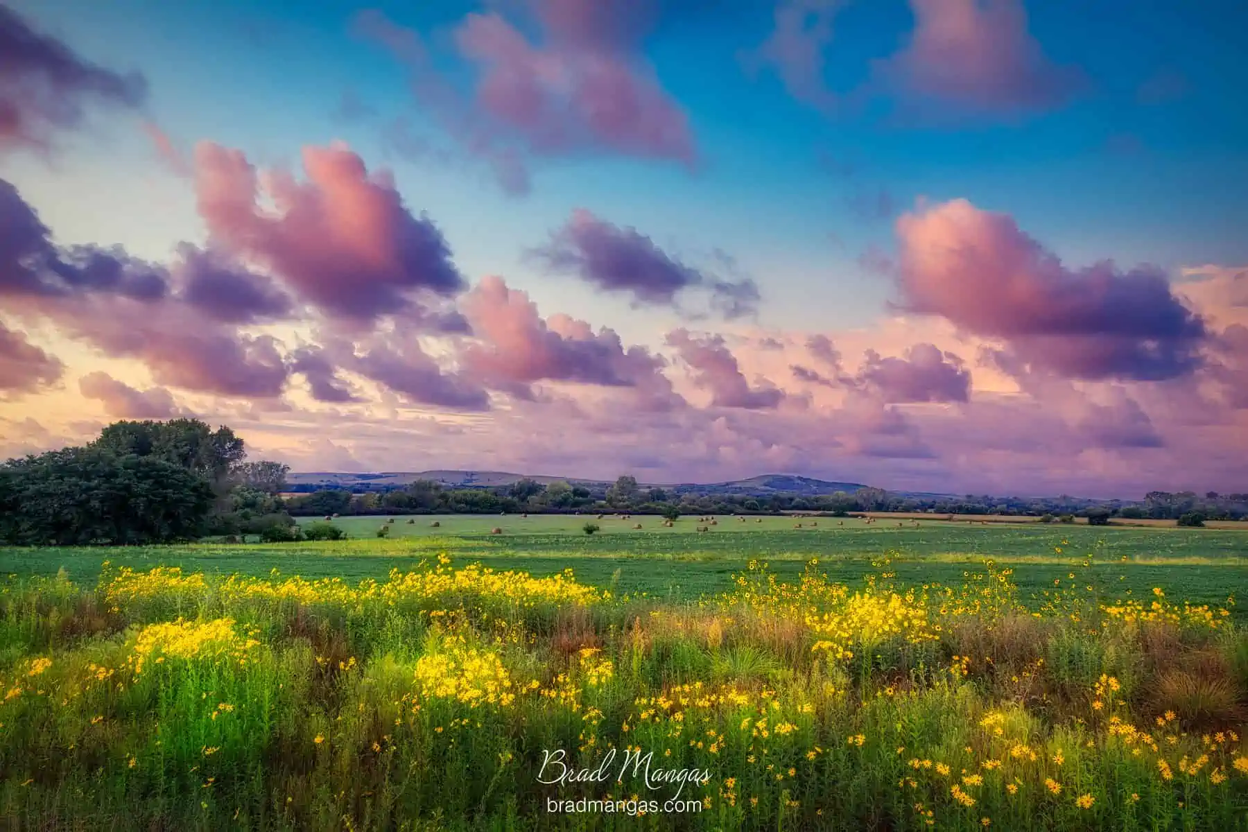 Summer Field Of The Flint Hills_FHSU_4131 Summer Field Of The Flint Hills FHSU 4131