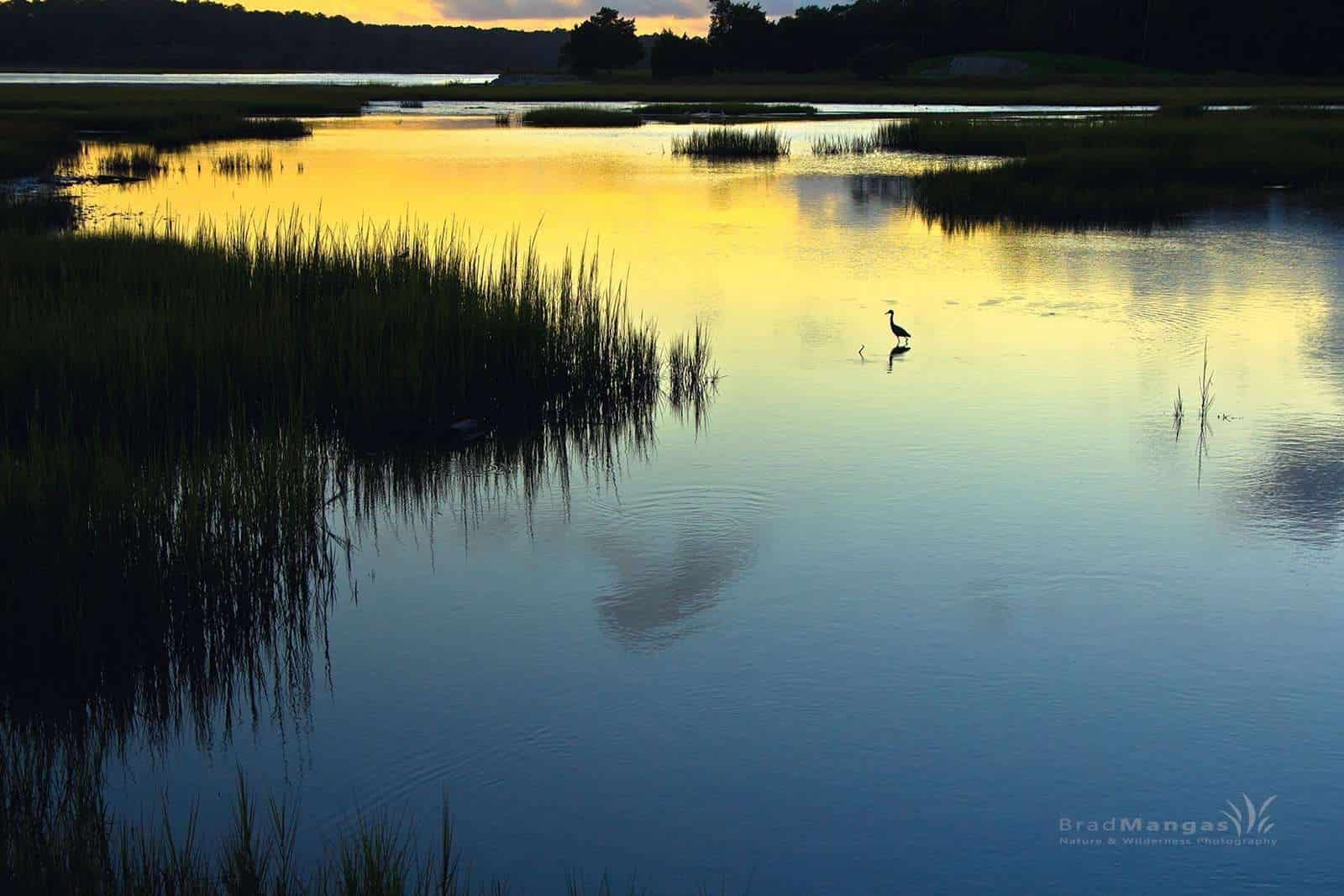 South Carolina nature photography