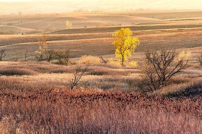 Kansas, nature, photography, flinthills, flint, hills