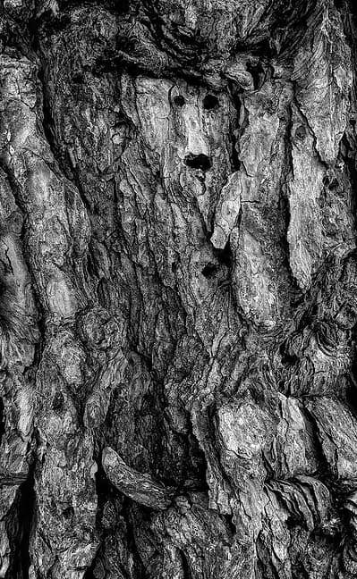 Art has always been what you make of it as a viewer.