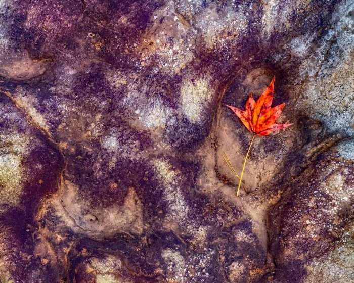 abstract stone photography