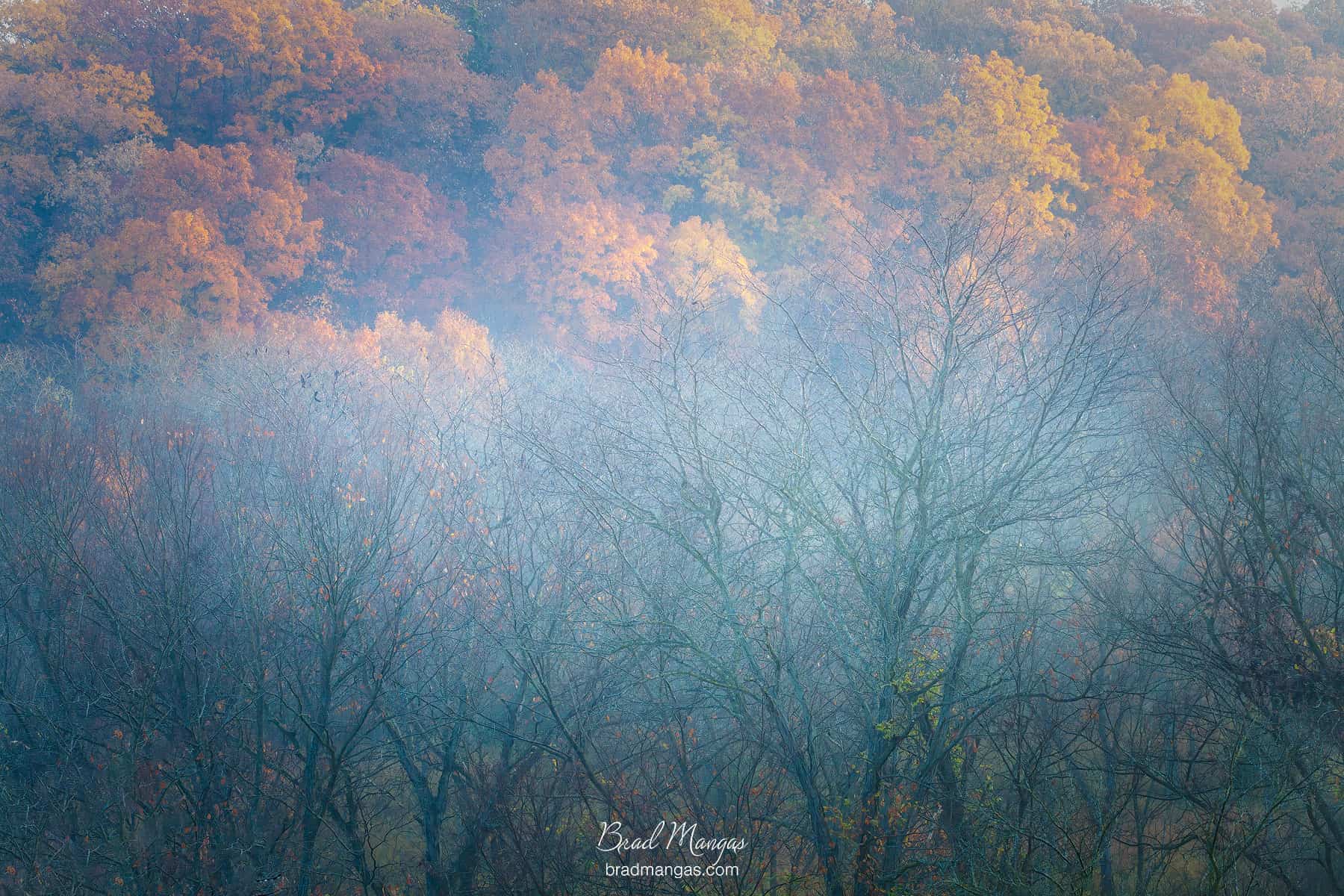 Autumn Mist TRFADA 6054