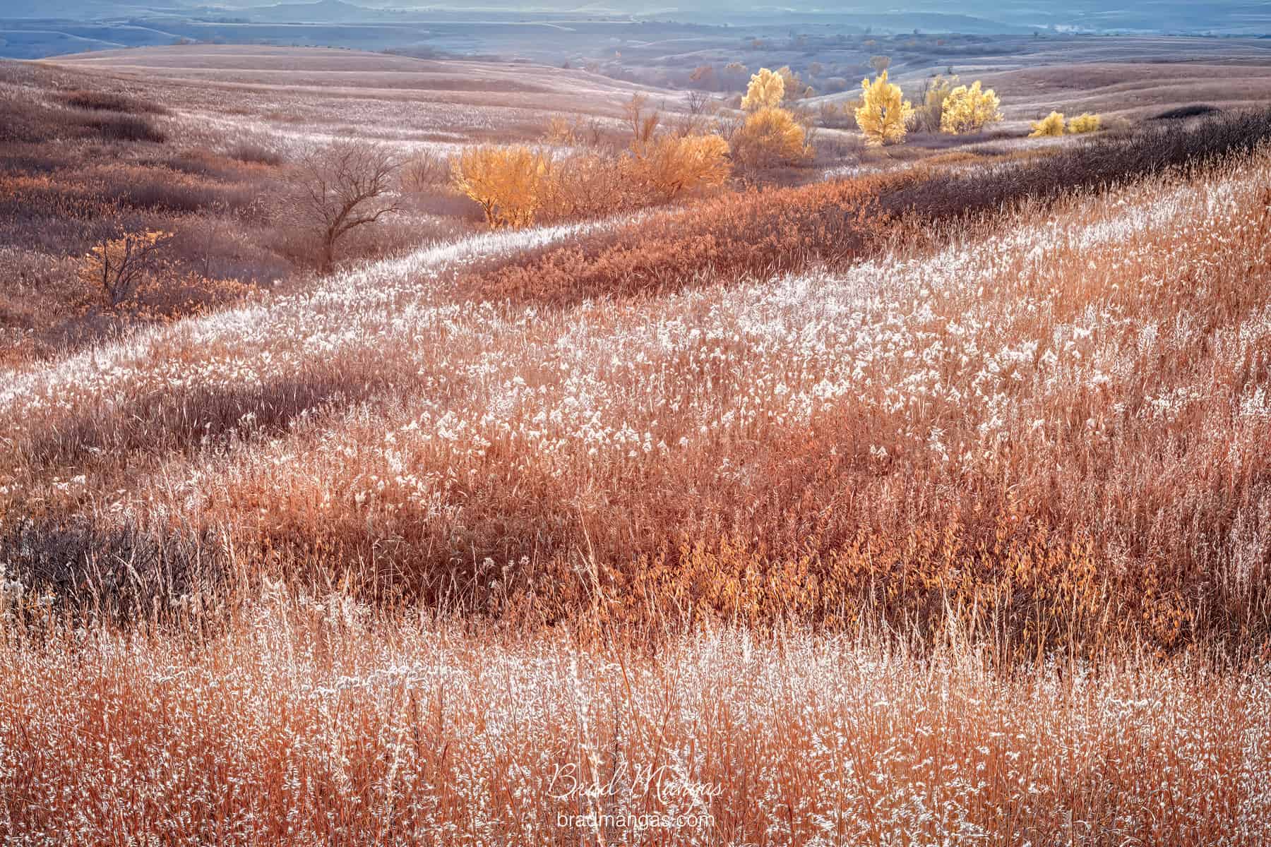 Tallgrass Prairie Autumn FHFA 6126