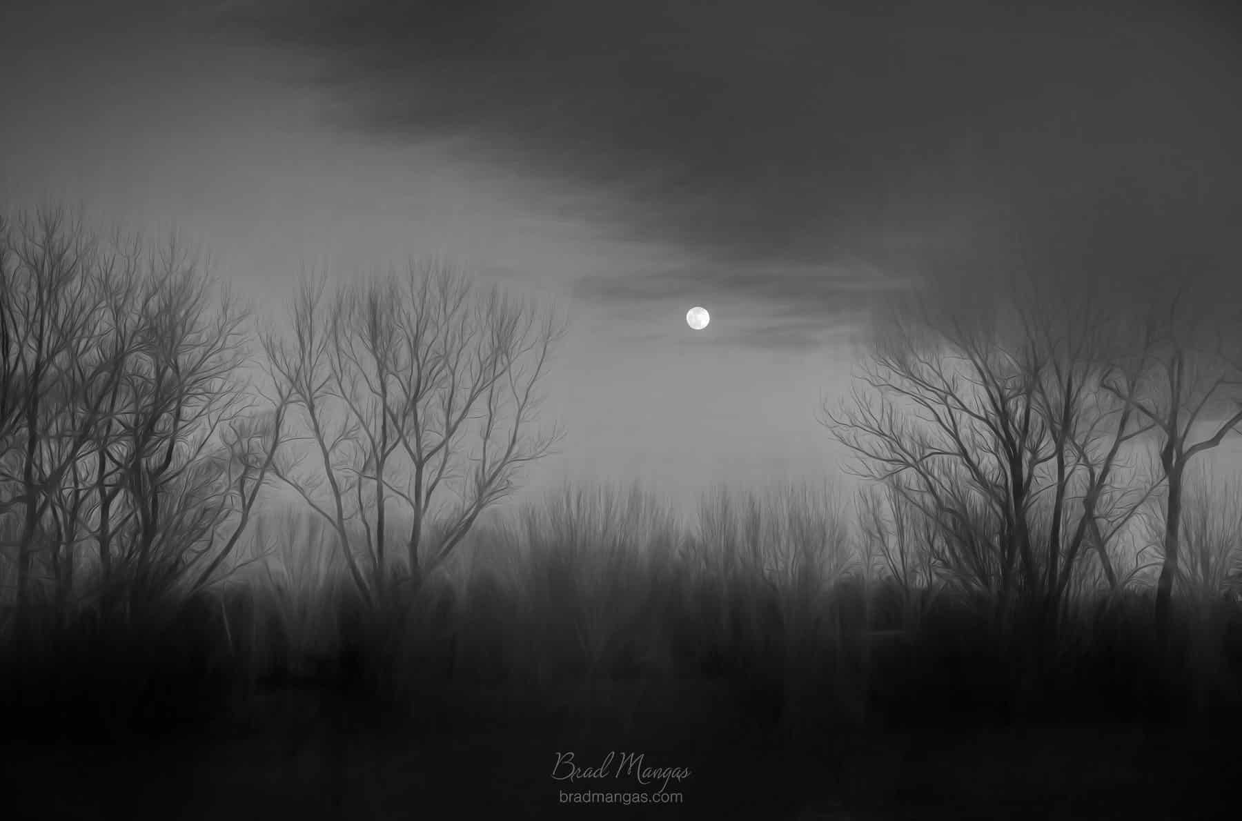 moon rise, black and white photograph, 