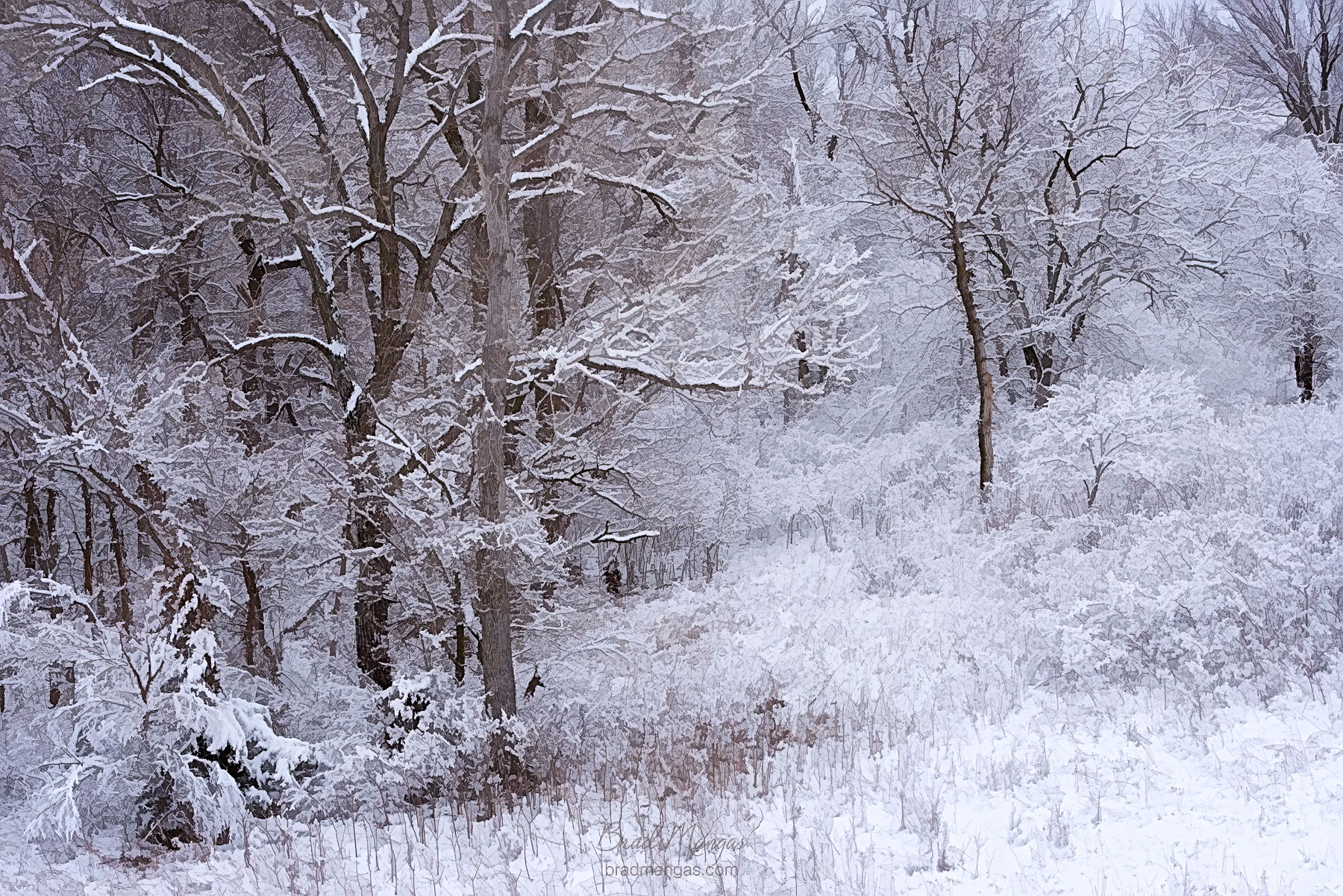 winter photography, snow pictures,