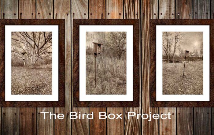 framed photo art wall display