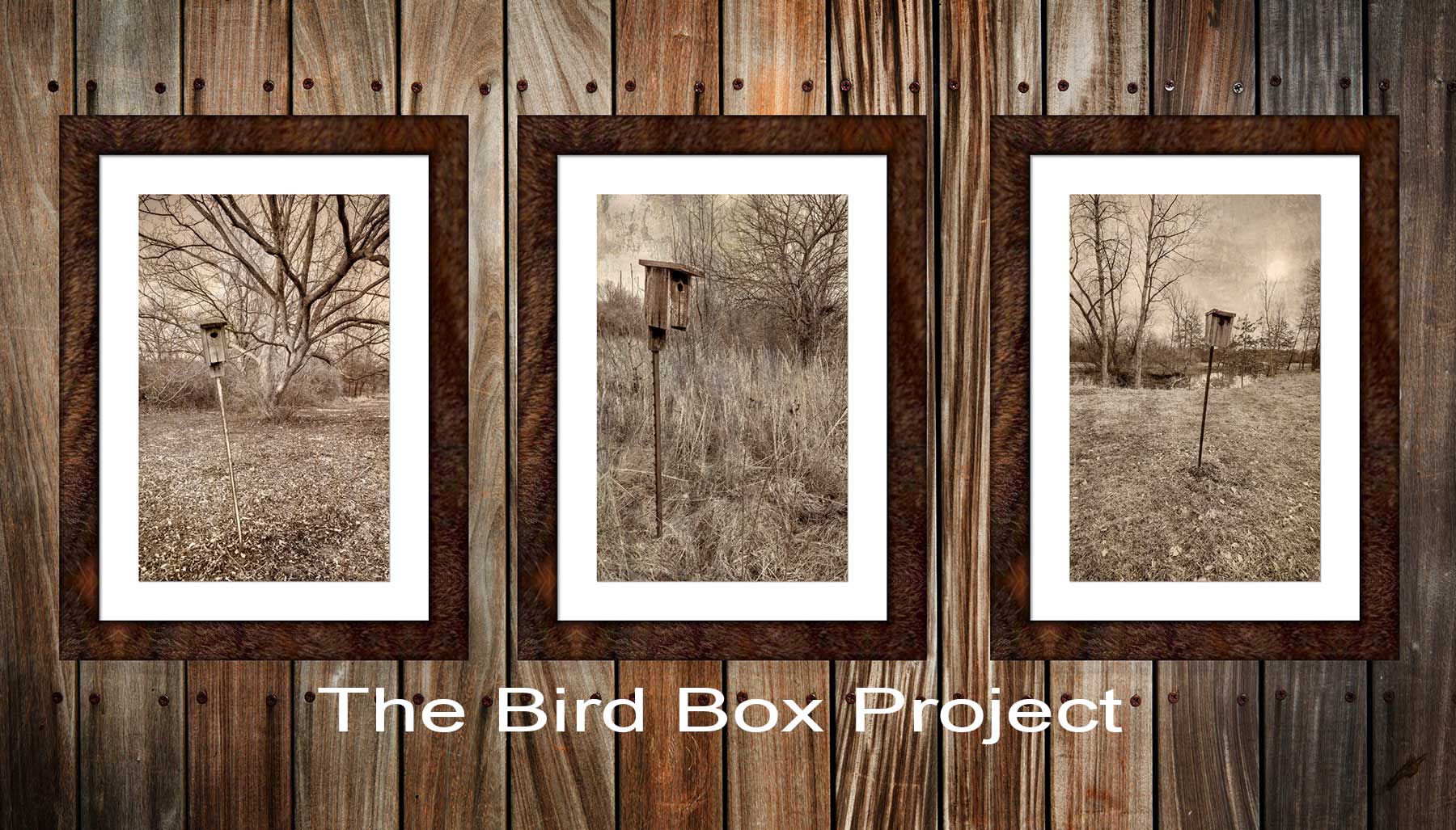 framed photo art wall display