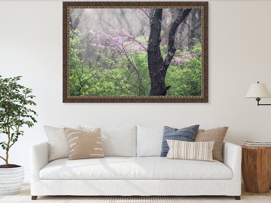 wall art for home, business, healthcare